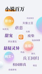 开云体云app